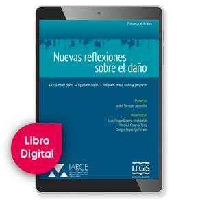 NUEVAS REFLEXIONES DANO
